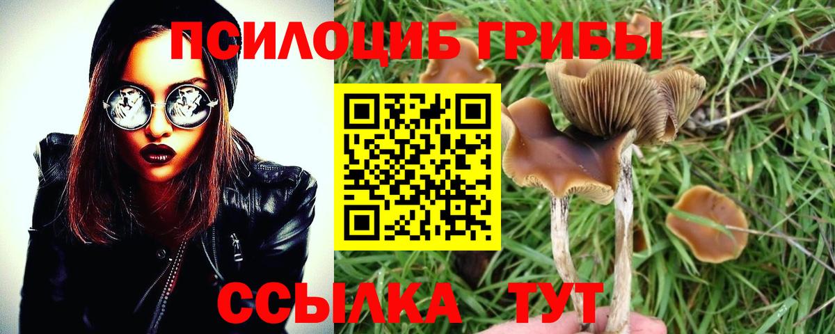 Дедовск  Галлюциногенные грибы MAGIC MUSHROOMS  Вход с VPN 